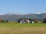 IMG_0807