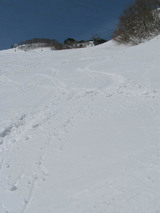 重い新雪
