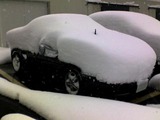 朝のボクスター