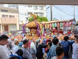IMG_20260811_130823
