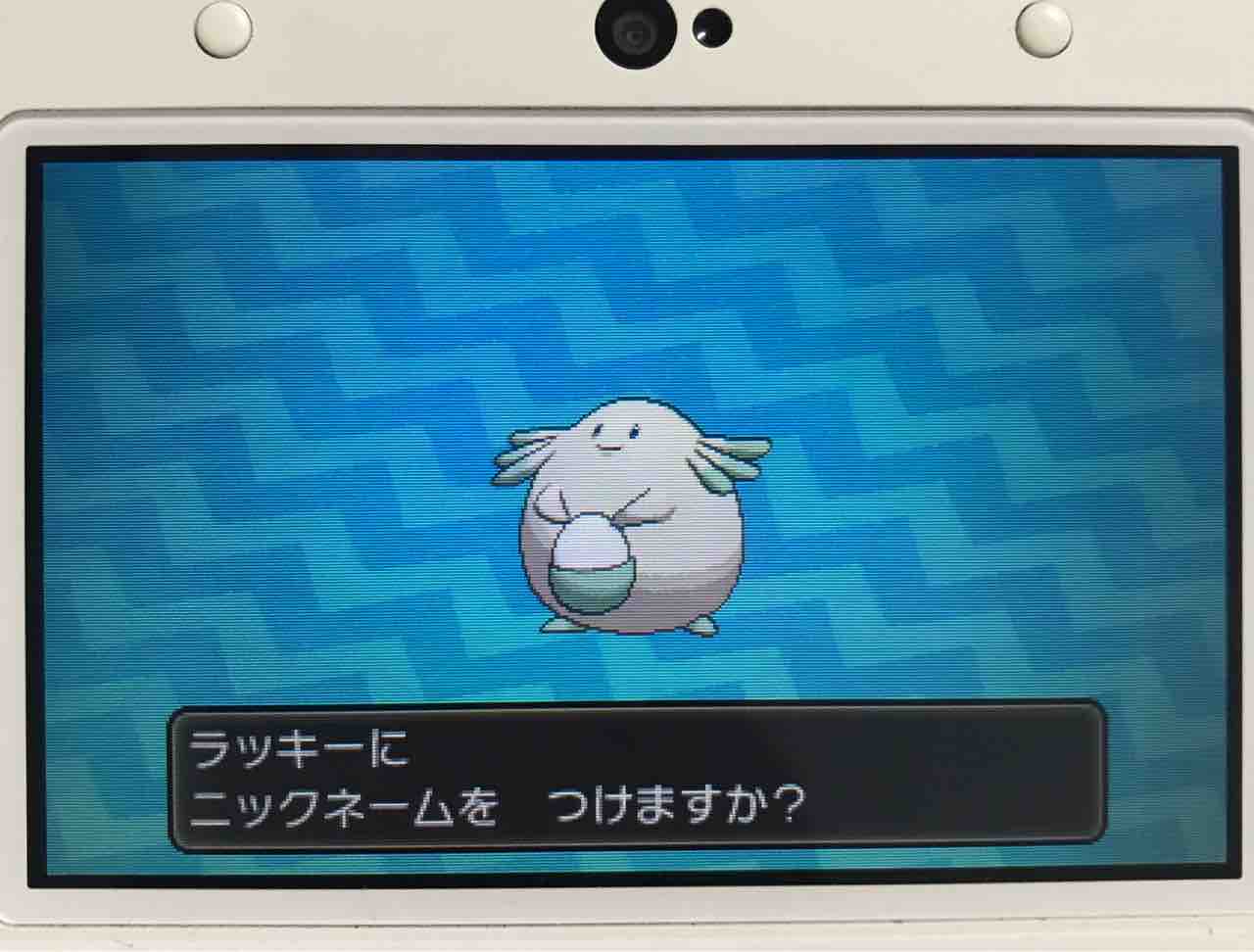 ポケモン 色違いラッキー孵化 うえさま ポケモン 色違いラッキー孵化 うえさま