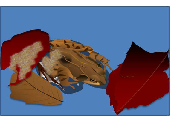 ��ޥ���������