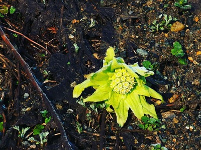 IMG_20190316_073952_139