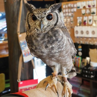 IMG_20190316_141145_614