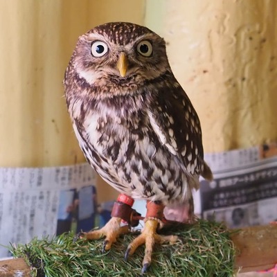 IMG_20190316_141145_605