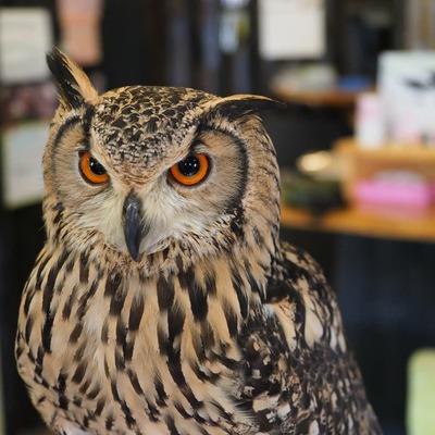 IMG_20190316_141145_606