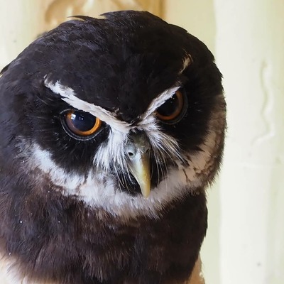 IMG_20190316_141145_607