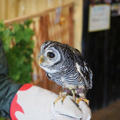 IMG_20190316_141145_609