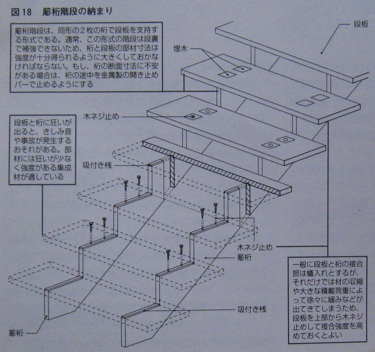 立方骨