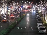表参道のイルミネーション01