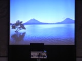 グアテマラの風景(低地)