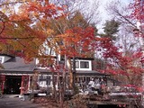 紅葉と建物