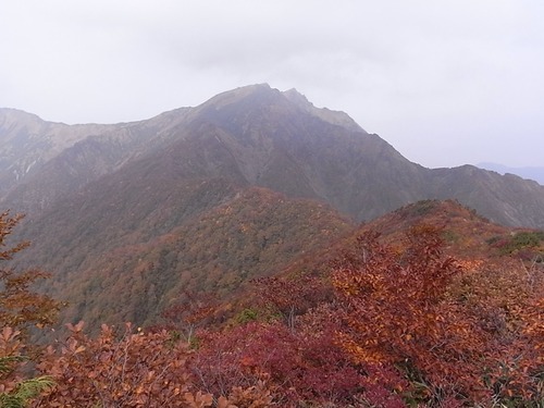 紅葉の谷川岳