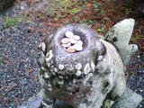 遠野かっぱ淵14