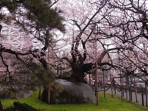 横から