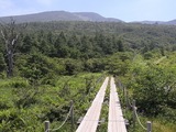 沼原湿原05