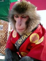 ������Τ�������1