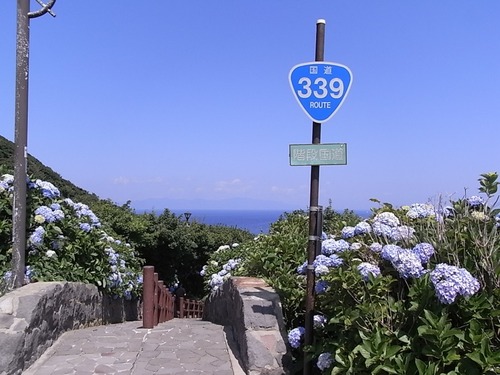 階段国道339号