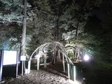 カエデ園入口1