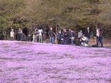 富士山待ちのカメラマン1
