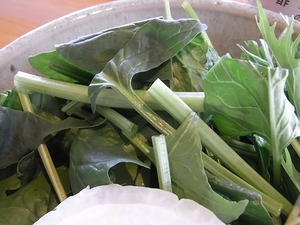 ほうれん草