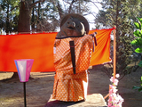 茂林寺のひな祭り23