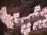奉納された招き猫たち6