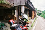 熊野古道04