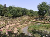 ぼたん園遠景1