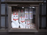 招福殿に飾られた招き猫たち