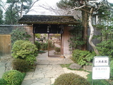 盆栽村9