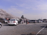 大混雑の駐車場2
