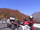 明智平の紅葉