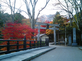 紅葉の古峰神社01