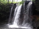 沼原湿原20