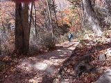 湯滝の山道