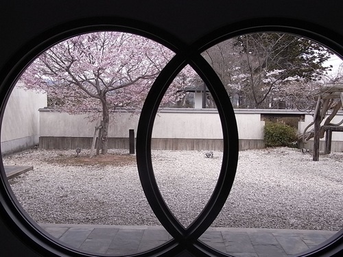 本荘公園の桜