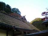 紅葉の古峰神社05