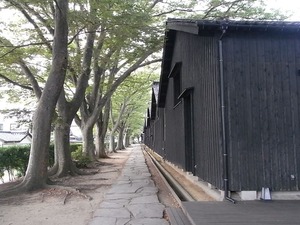 山居倉庫 酒田夢の倶楽 黒壁の倉庫群と欅並木を並列で見る