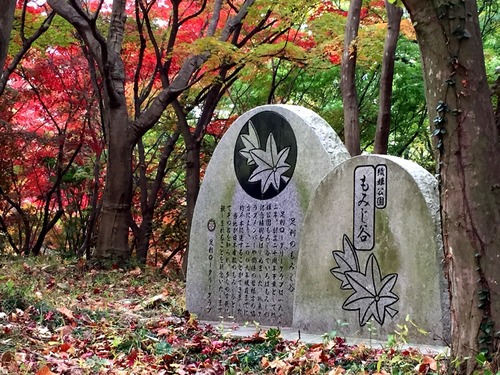 織姫公園もみじ谷の紅葉