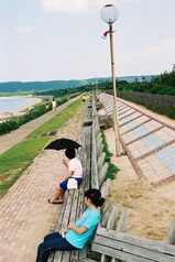 ベンチ