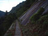 屋久島荒川林道トロッコ道05