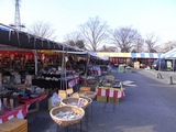 大宮公園梅まつり05