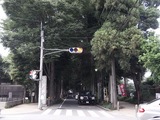 あじさい寺01