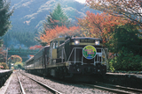 紅葉のわたらせ渓谷鐵道11