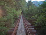 屋久島荒川林道トロッコ道07