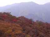 山肌の紅葉1