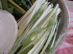 水菜