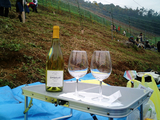 HARVEST FESTIVAL09
