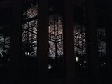 自由学園明日館の夜桜01